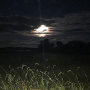 Jason Voorhees (Explicit)