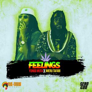 Feelings (feat. Imeru Tafari)