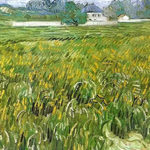 风是从哪来 (我们打着光脚在风车下跑手上的狗尾巴草摇啊摇)