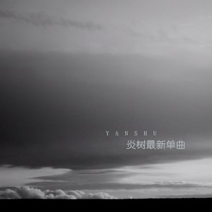 我为你翻山越岭 却无心看风景