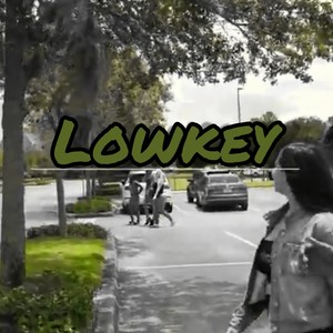 Lowkey (feat. Damain Smakka & LilJourney) [Explicit]