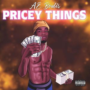 Pricey Things (Explicit)