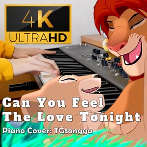 Can You Feel The Love Tonight