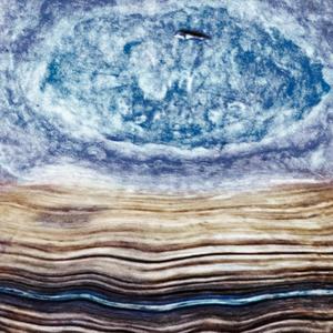 Foreward (feat. shane arnold) (Explicit)