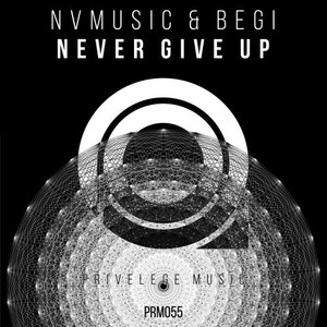 Never Give Up (Original Mix)