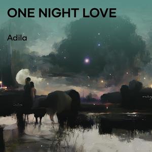 One Night Love