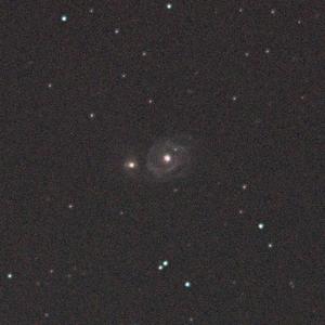 Do Not Disturb(feat. Kaymatic & Toximity) (Radio Edit|Explicit)