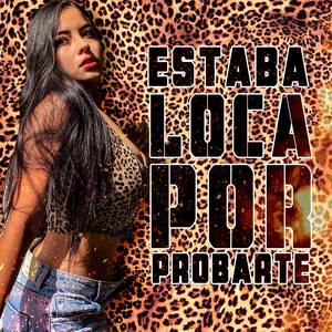 Estaba loca por probarte (Explicit)