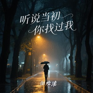 听说当初你找过我 (DJ德朋版)封面