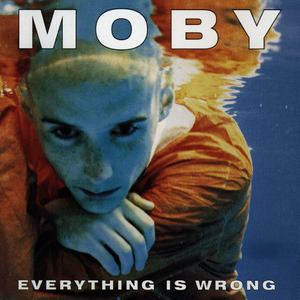 Everything Is Wrong (Explicit)