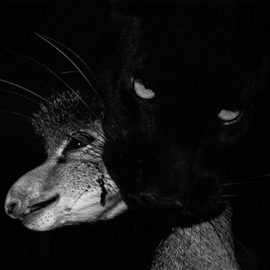 Pretty Face (Explicit)