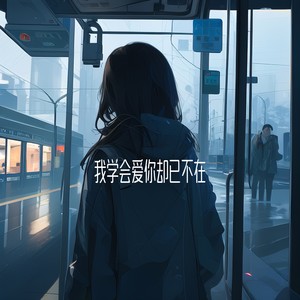我学会爱你却已不在 (伴奏)