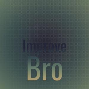 Improve Bro