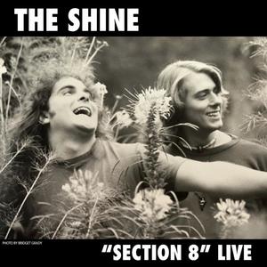 Section 8 (Special Live Version)