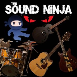 The Sound Ninja