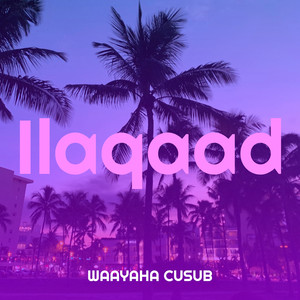 Ilaqaad