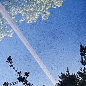 springtime (feat. GLOLUM)