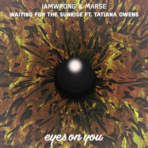 Waiting for the Sunrise