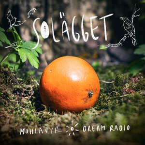 Solägget (with Gala Dance Bergslagen)