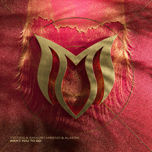 Want You To Go (Extended Dub Mix)