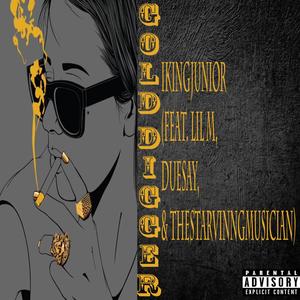 Gold Digger (feat. TheStarvinngMusician, Lil M & Duesay) [Explicit]