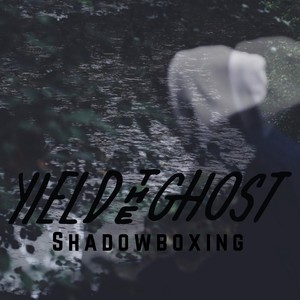 Shadowboxing