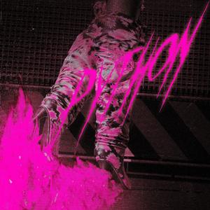 Python (Remix|Explicit)