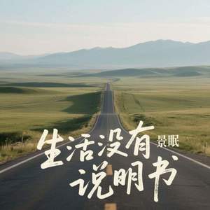 生活没有说明书