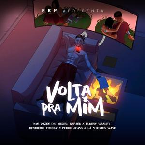 VOLTA PARA MIM (feat. FORÇA RARA) [Explicit]