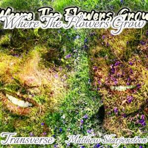 Where The Flowers Grow (feat. Matthew Sharpensteen)