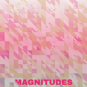 Magnitudes