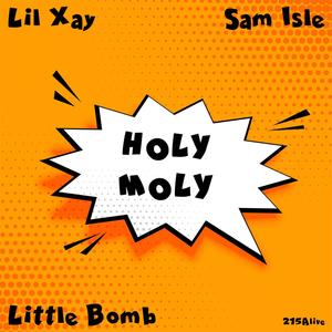 Holy Moly (feat. Sam Isle & Little Bomb) [Explicit]