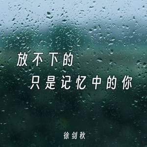 放不下的只是记忆中的你