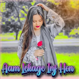 Aam Lekage Inj Hon