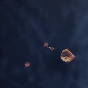 对面 (Demo)