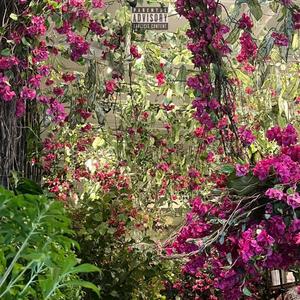 Whatchu Want! (feat. JaVør) (Explicit)