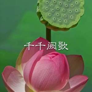 伤心城市 (DJ版)