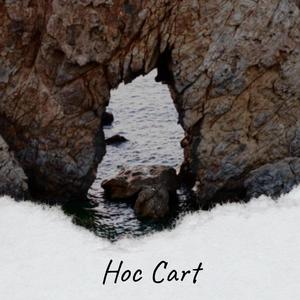 Hoc Cart