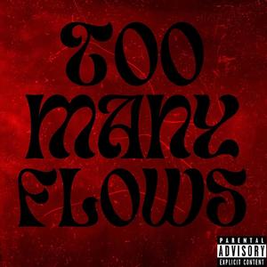 Too Many Flows (Explicit)