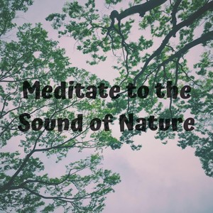 Meditate to the Sound of Nature