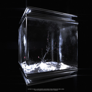 위험해 (Feat. FreeXKid) (危险)