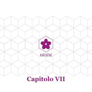 Capitolo VII