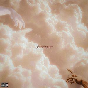 forever love (Explicit)