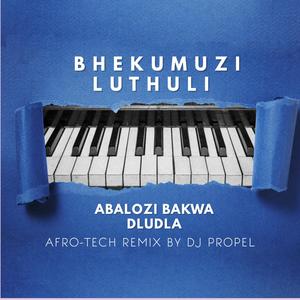 Abalozi Bakwa Dludla (Afro Tech Remix By DJ Propel)