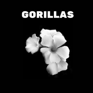 Gorillas (MASTERED VERSION)