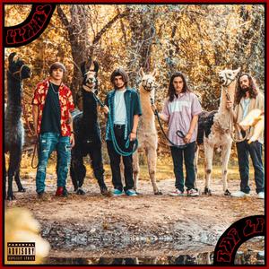 Llamas on the Moon (feat. Oliver Sierra) (Explicit)