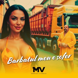 Barbatul meu e sofer