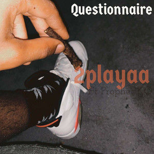 Questionnaire (Explicit)