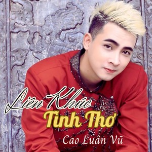 LK Tình Thơ (Ytmix)