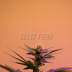 Grass Fiend (Explicit)